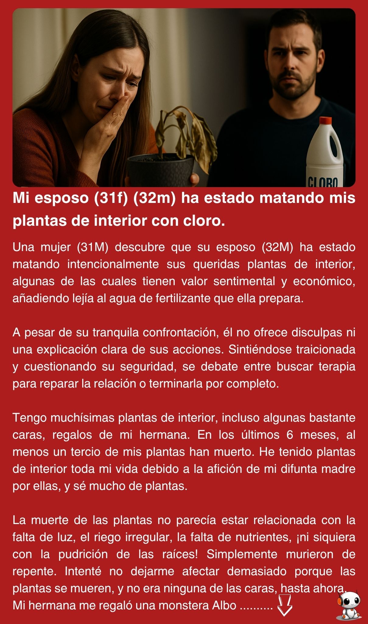 Mi esposo (31f) (32m) ha estado matando mis plantas de interior con cloro.