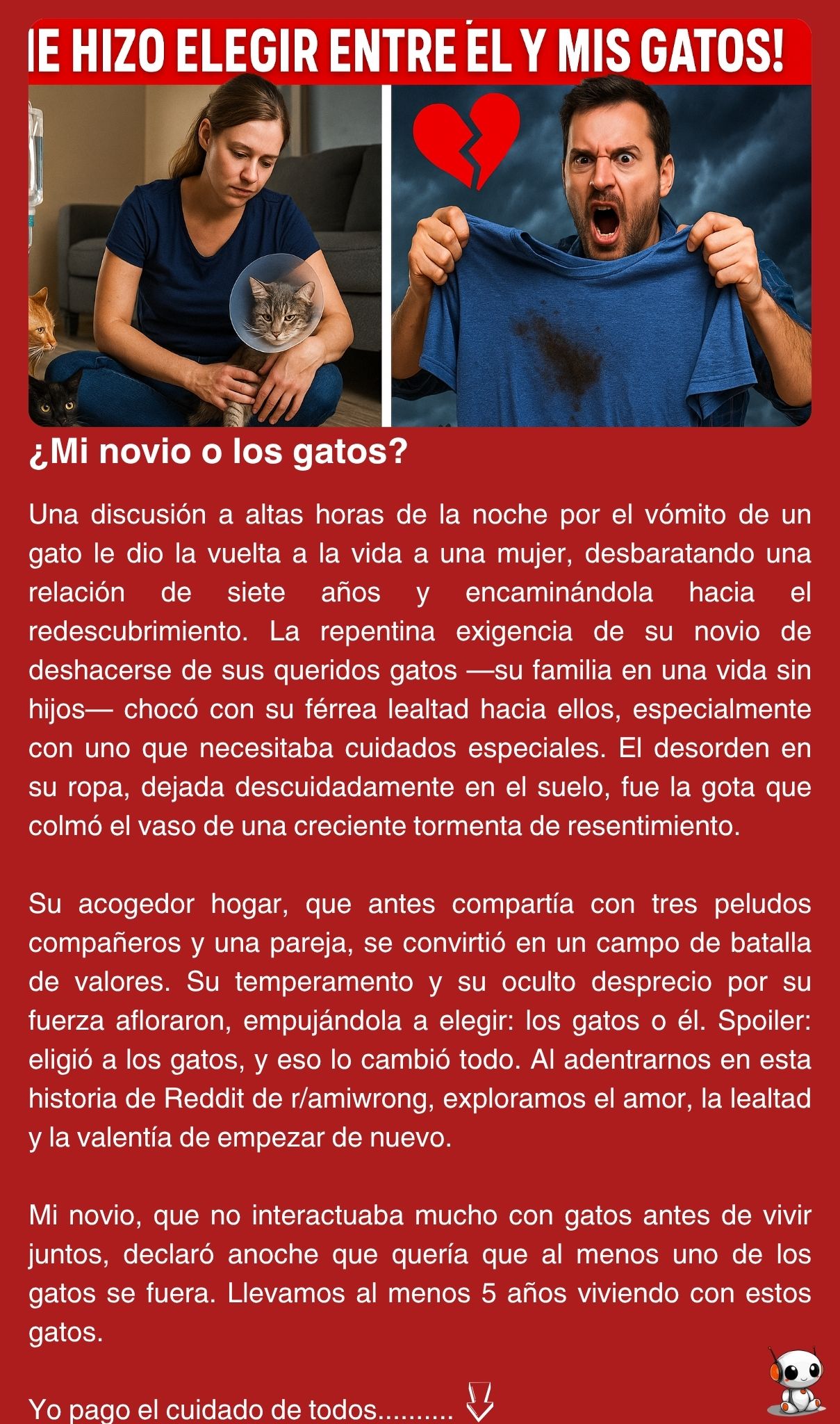 ¿Mi novio o los gatos?